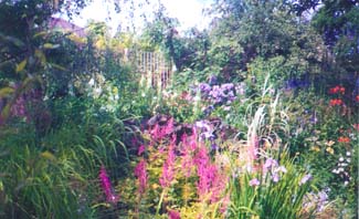 Grasse Cottage Garden - Dun Laoghaire County Dublin IReland